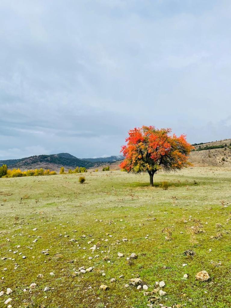 Las Colmenillas 1 Tragacete Exteriér fotografie